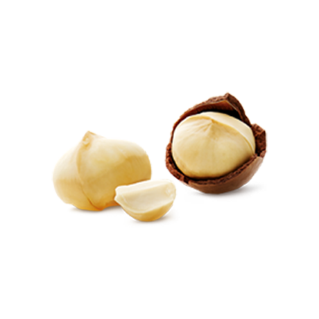 Macadamia nut